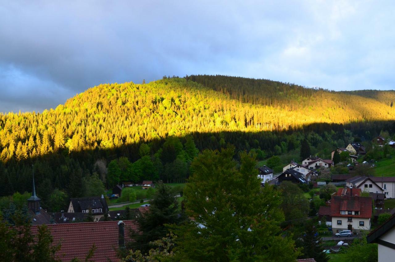 Ferienwohnung Am Kurpark Бад-Вильдбад Экстерьер фото