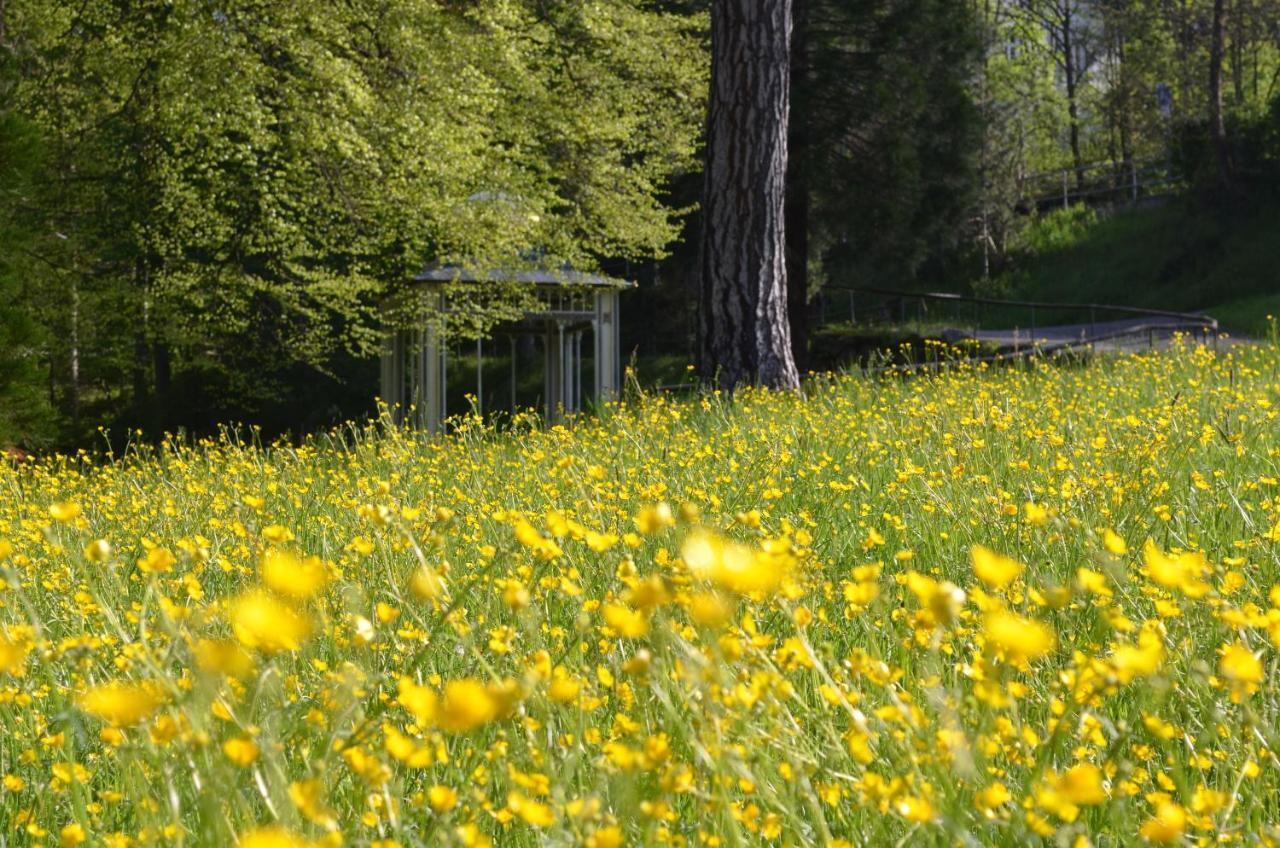 Ferienwohnung Am Kurpark Бад-Вильдбад Экстерьер фото