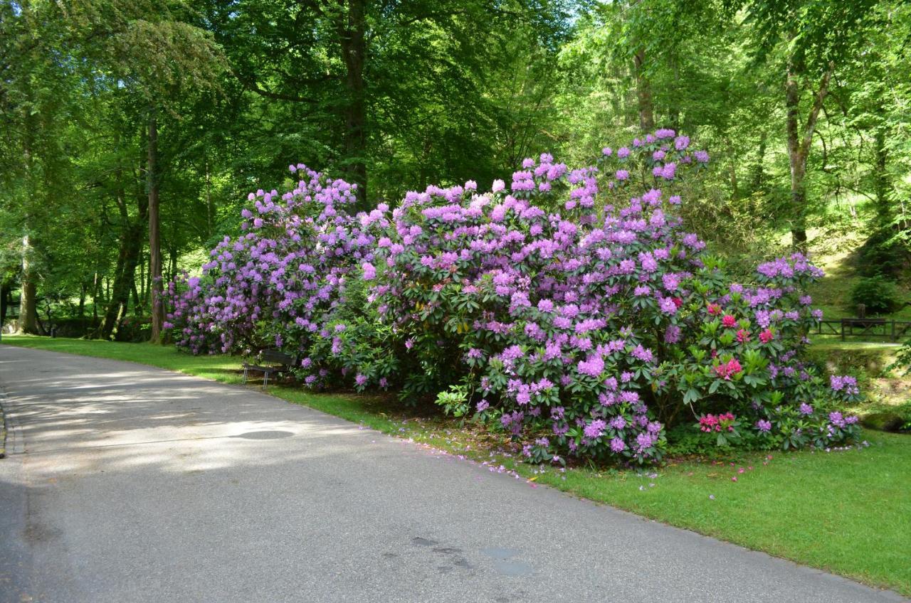 Ferienwohnung Am Kurpark Бад-Вильдбад Экстерьер фото